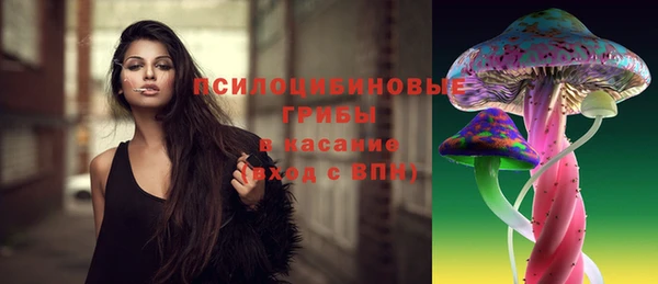 прущие крисы Армянск