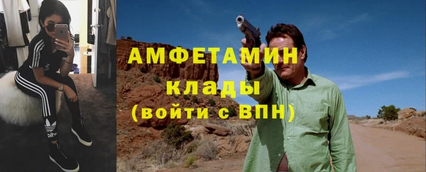 индика Пересвет